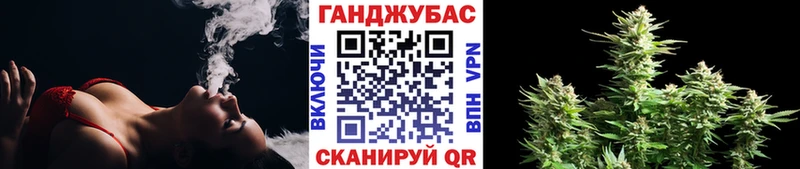 Бошки Шишки Жуковка