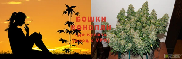 каннабис Алзамай