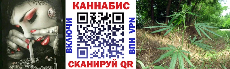 купить   Жуковка  Канабис семена 